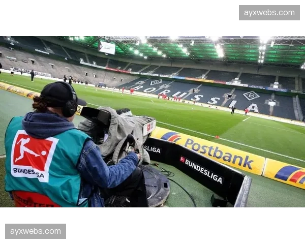 针对球迷侮辱性横幅,德国足协对一家德甲俱乐部启动调查程序